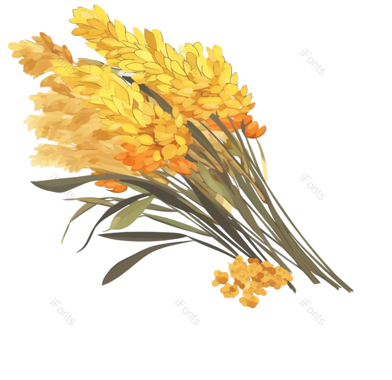叶子图片,芒种元素,元素PNG,插画免抠素材